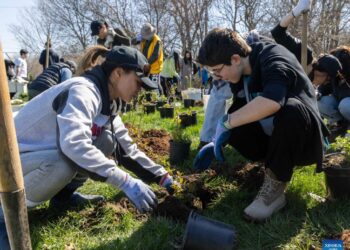 Toronto holds tree planting event to mark Earth Day