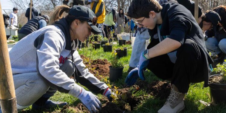 Toronto holds tree planting event to mark Earth Day