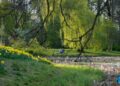 Spring view of Warsaw in Poland