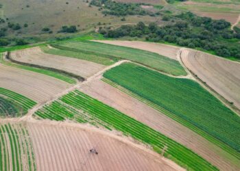View of farmlands in suburb of Johannesburg, South Africa