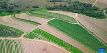 View of farmlands in suburb of Johannesburg, South Africa