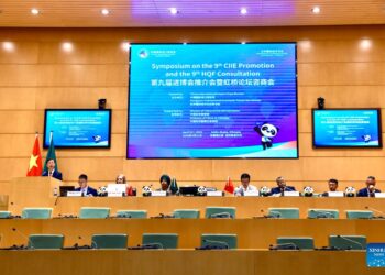 Symposium on 9th CIIE, Hongqiao Forum calls for deeper China-Africa trade, economic ties