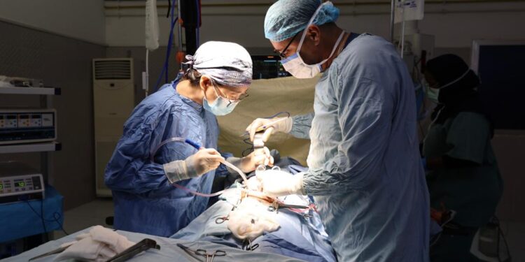 Feature: For 45 years, Chinese medical team brings healing, hope to Djibouti