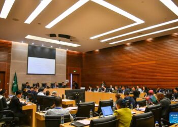 Chinese, African experts call for deepening collaboration in infrastructure development